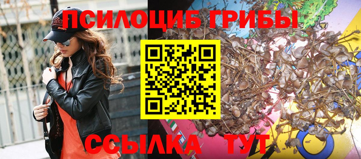 закладки  Галлюциногенные грибы MAGIC MUSHROOMS  Вход с VPN  Нижний Новгород 
