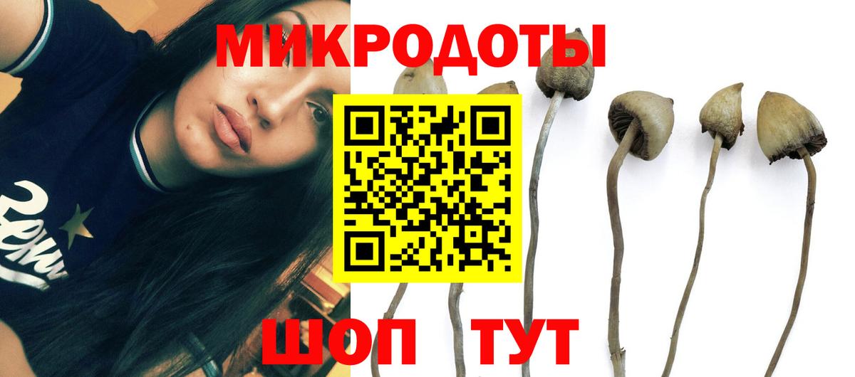 Галлюциногенные грибы прущие грибы Нижний Новгород